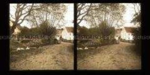 Häuser und Straße in Hennersdorf, Schlachtgebiet von 1813 bei Liegnitz
