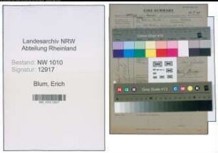 Entnazifizierung Erich Blum , geb. (Kunstgewerbler)