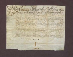 Verkaufsbrief des Markgrafen Ferdinand Maximilian von Baden-Baden an den badischen Stallmeister und Obervogt zu Rastatt Georg Wilhelm von Bettendorf über einen Rebhof zu Umwegen um 1.200 fl.