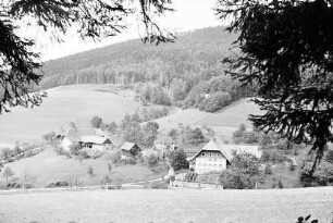 Siensbach: Bauernhöfe im oberen Tal