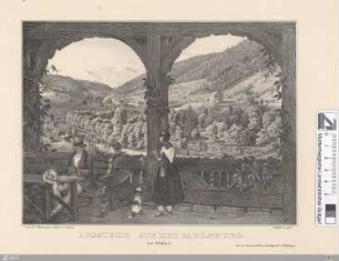 Aussicht aus der Carlsburg bei Wildbad