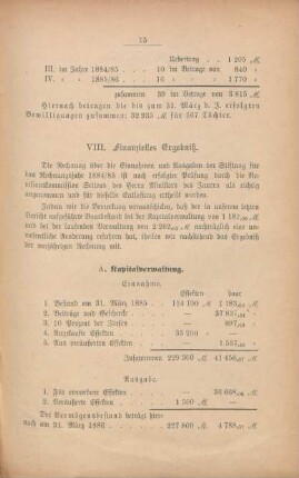 VIII. Finanzielles Ergebniß
