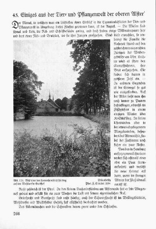 45. Einiges aus der Tier- und Pflanzenwelt der oberen Alster