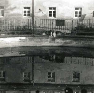 Brunnenbecken. Sandstein. Um 1750. Detail: Beckenrand mit Wasserspeier. Wermsdorf, Jagdschloss Hubertusburg (Heilanstalt), Schlosshof
