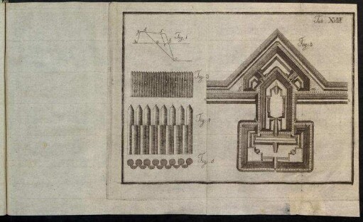 Tab. XVIII Fig. 1 - Fig. 5