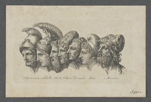 Agamemnon. Achilles. Nestor. Ulysses. Diomedes. Paris. Menelaus.