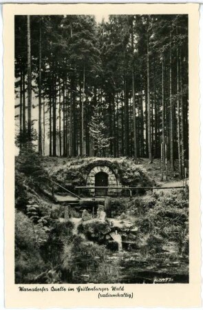 Grillenburg. Warnsdorfer Quelle im Grillenburger Wald