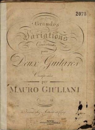 Grandes variations concertantes pour deux guitares : oeuvre 35