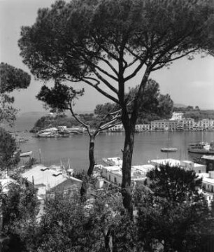 Ischia. Blick zum Hafen