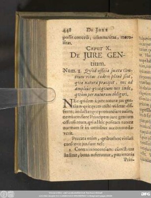 Caput X. De Iure Gentium.