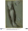 Studie für das linke Bein des Gekreuzigten im Gemälde der Kreuzabnahme in der Capella di San Bernardino im Dom von Perugia