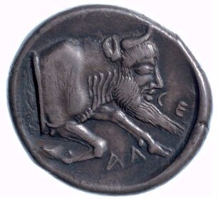 Münze, Didrachme, ca. 490 - 475 v. Chr.