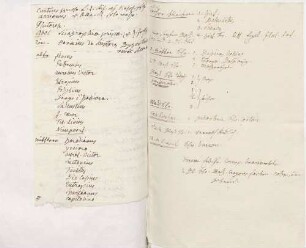 Notizen von Karoline Luises Hand.