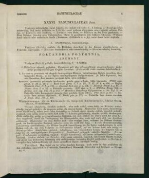 1-15, XXXVI. Ranunculaceae