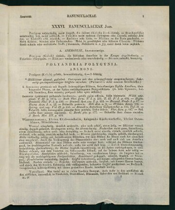 1-15, XXXVI. Ranunculaceae