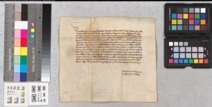 König Wenzel befiehlt auf Klagen Erzbischofs Friedrich von Köln dem Edelherrn Dietrich von der Mark dem Johann Stecken, Dietrich von der Horst und Rutger von Galen die von ihnen widerrechtlich eingesetzten Freigrafen die Jurisdiktion nicht ausüben zu lassen. (Zweitausfertigung von KU 130a)