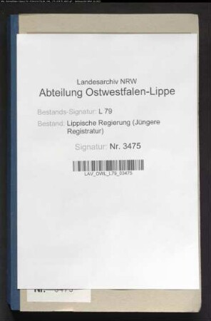 Kommunalwegebau Voranschläge und Rechnung des Amtes Lage, Band 2