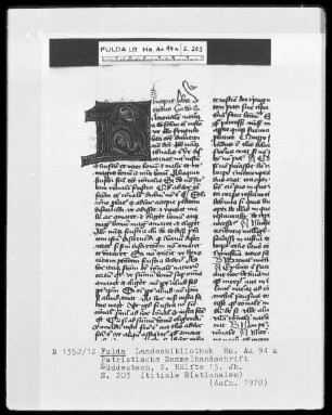 Patristische Sammelhandschrift — Initiale R (ationalem), Folio 203 recto