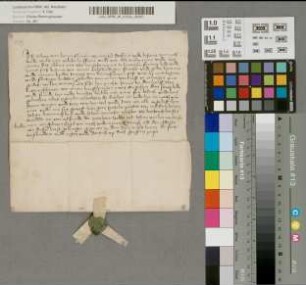 Freibrief des Johann von Bernynckhusen - Mensel.