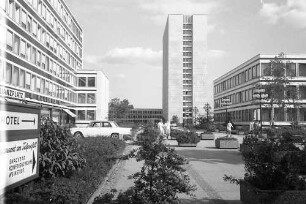 Bonn: [Tulpenfeld]