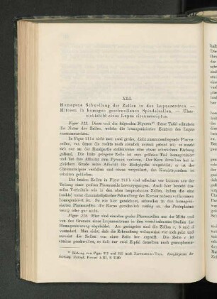 XLI. Homogene Schwellung der Zellen in den Lupuszentren. - Mitosen in homogen geschwollenen Spindelzellen. - Übersichtsbild eines Lupus circumscripts.