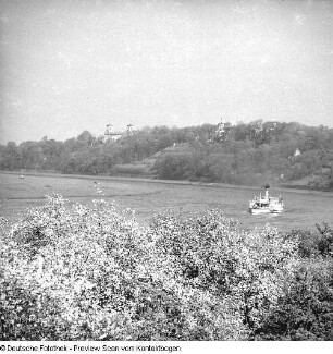 Elbe im Raum Dresden; Elbe Baumblüte Loschwitz