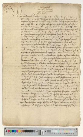 Schutzbrief König Ferdinands für Lüneburg.