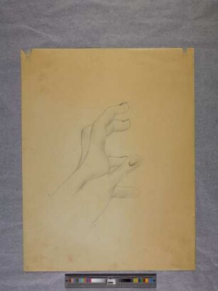 o. T. (Hand; aus dem Aktzeichnen an der Burg Giebichenstein Halle)