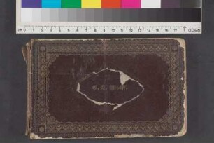 [Stammbuch Luise Otto]