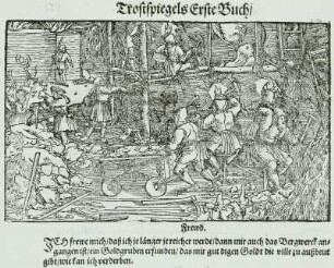 Bergwerk : Abbau vor Ort, 1532 aus Petrarca