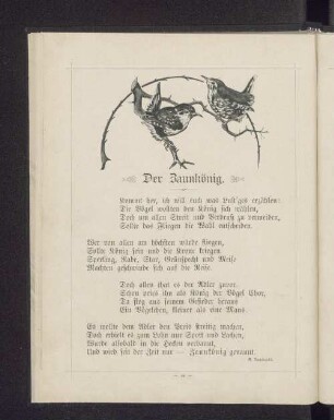 Der Zaunkönig.