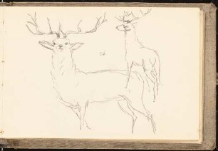 Skizzenbuch mit Aquarellen und Zeichnungen: Hirsch