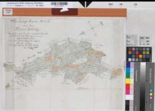 Hörste (Halle) Teilung des Fleers (der Fleergehölze) 1791 o.M. 38,5 x 50,5 kol. Zeichnung M. C. L. Reinhold Spez.Verz. Markenkarten X Nr. 70,2
