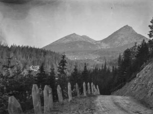 Berglandschaft : Blick auf Waldflächen an Berghängen und im Tal. Im Vordergrund eine Straße mit Begrenzungspfählen