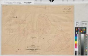 Eichlinghofen (Dortmund), Rüdinghausen (Witten), Teilung der Eichlinghofer Mark, Bl.3 Brouillonkarte Feldbüsche