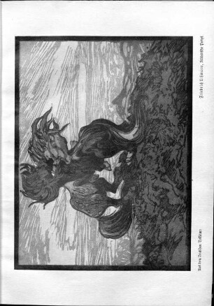 Friedrich Lißmann, Iländische Ponys
