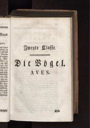 Zweyte Classe Die Vögel AVES