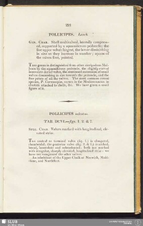 Pollicipes. Leach