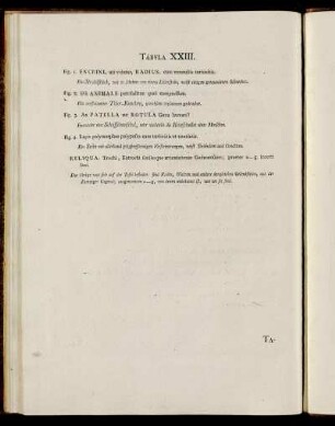 Tab. XXIII. [Beschreibung und Abbildung.]