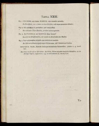 Tab. XXIII. [Beschreibung und Abbildung.]