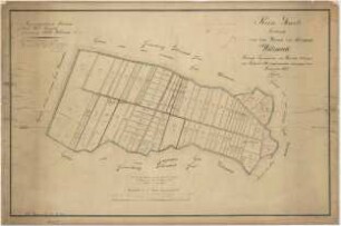 Rein-Karte [von der Stadtfeldmark Wilsnack]. Sekt. III (später Gemarkungskarte der Stadt Wilsnack Nr. 227 in 6 Blättern. Bl. 6) - Von den Wiesen der Feldmark Wilsnack