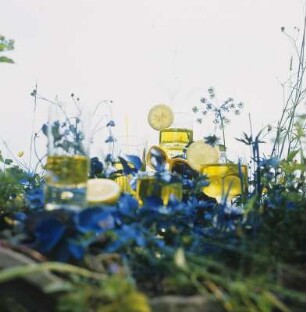Stillleben mit Zitrone