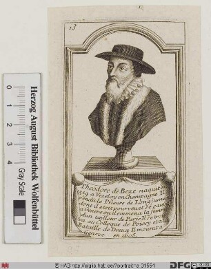 Bildnis Theodor Beza (eig. Théodore de Bèze)