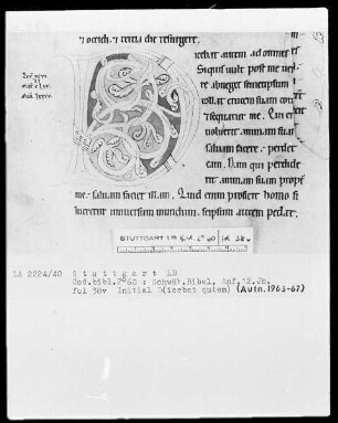 Bibel — Initiale D (icebat qutem), Folio 38 verso