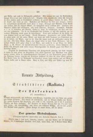 Neunte Abtheilung. Strahlthiere (Radiata.)