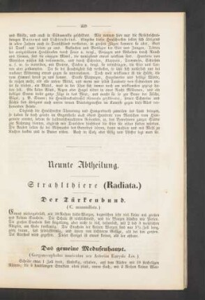 Neunte Abtheilung. Strahlthiere (Radiata.)