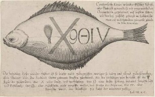 Conterfeth Eines wunder-Fisches Scholl,/ oder Platteyß genandt, so mit ungewonlichen/ Characteren gezeichnet, auf beyden seitten,/ wie hierbey zusehe, gefange im holländische/ Meer, und nach Rotterdam zumarckt gebracht./ Im Julio, Anno 1633.