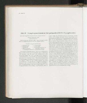 Abb. 99 Lymphogranulomatose der peripankreatischen Lymphknoten