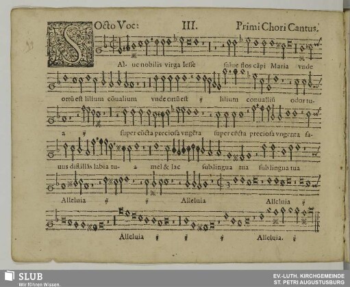 III. Salve nobilis virga Jesse