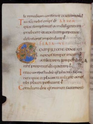 Zierinitiale / Randleisteninitiale mit Rankenbesatz: C(omprime domine)